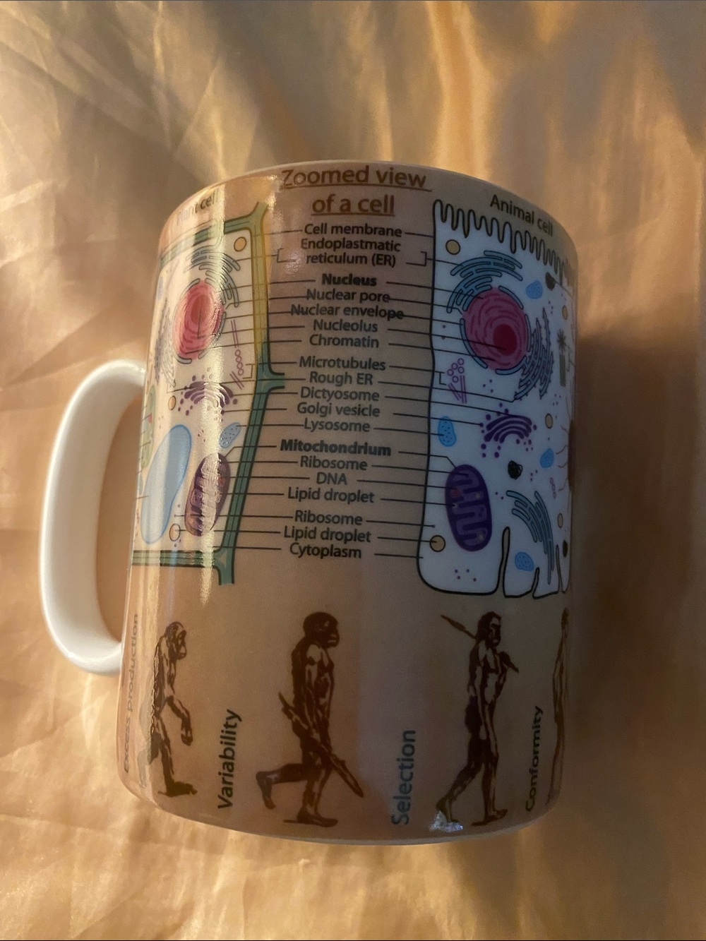 Educational Cell Diagram Ceramic Mug - Beige with Multi-Color Illustration